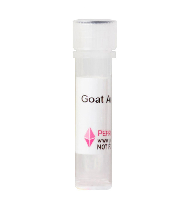 Anti-Rat IL-6 (Polyclonal Goat)