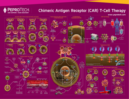 Picture of Chimeric Antigen Receptor (CAR) T-Cell Therapy Poster