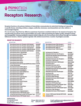 Picture of Receptors Research Flyer