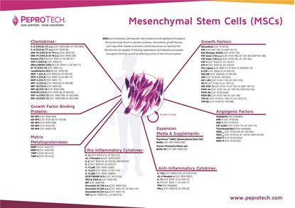 Mesenchymal Stem Cells (MSCs) Poster의 그림