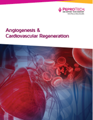 Angiogenesis and Cardiovascular Regeneration Booklet의 그림