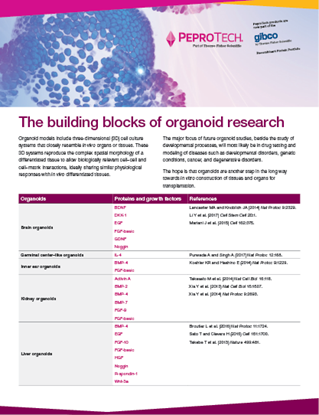 Picture of Organoids Flyer