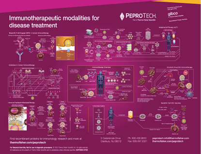 Immunotherapeutic Modalities for Disease Treatment Poster의 그림