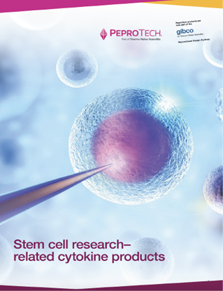 Picture of Stem Cell Booklet