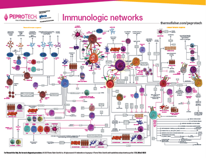 Immunologic Networks Poster의 그림