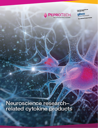 Picture of Neuroscience Booklet